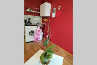 Апартаменты Slucko Central Studio Apartment near River Вильнюс Апартаменты с 1 спальней-53